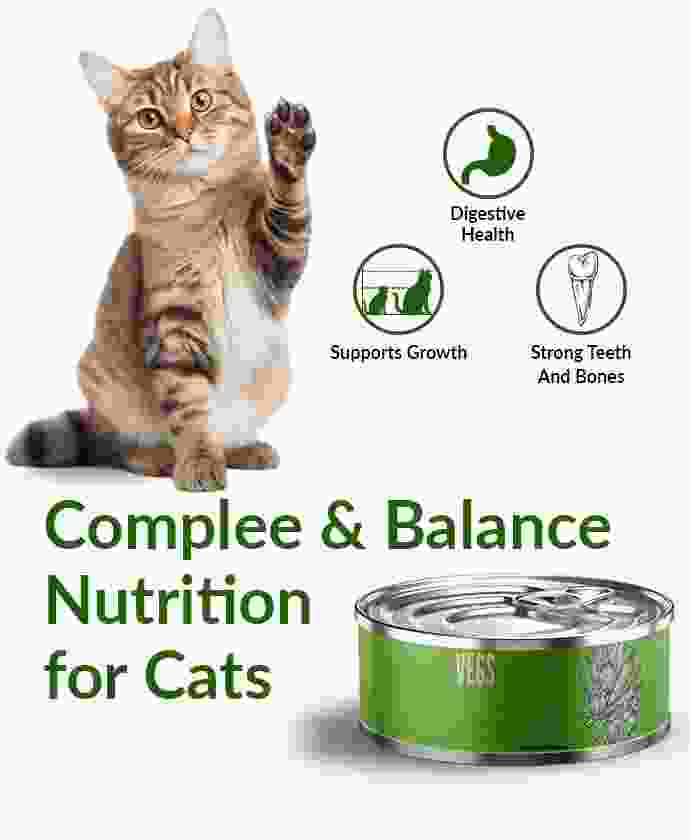 pet-shop-image-1-3