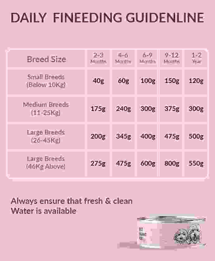 pet-shop-image-10-2