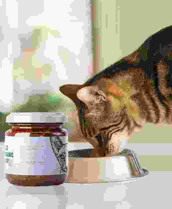 pet-shop-image-12-3
