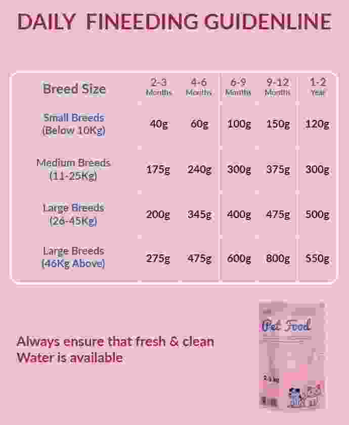pet-shop-image-4-3