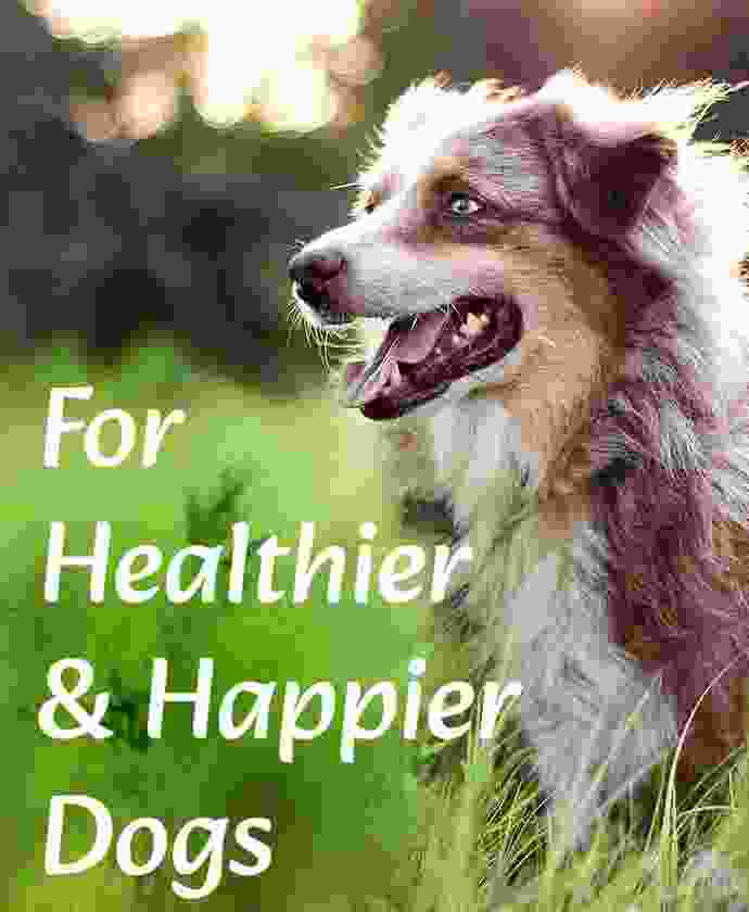 pet-shop-image-6-4