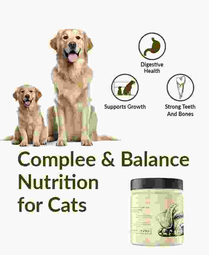 pet-shop-image-7-3