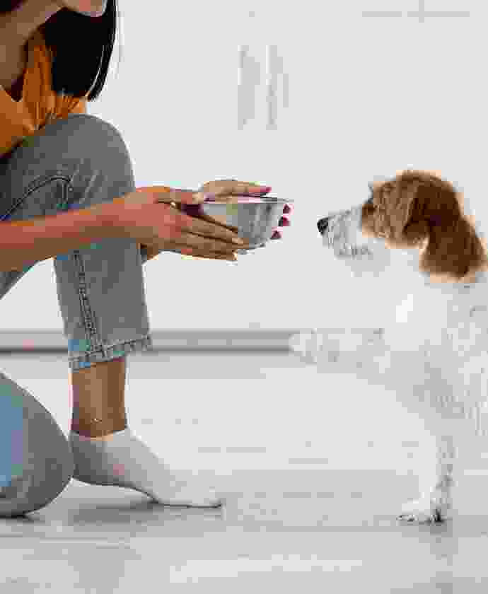 pet-shop-image-7-4